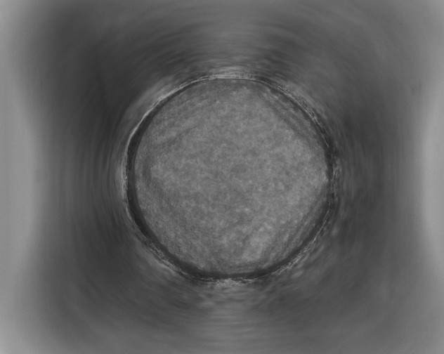 X0000115120290200911241353