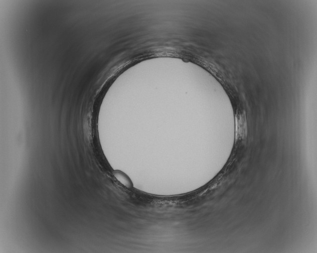 X0000115120291200911241353