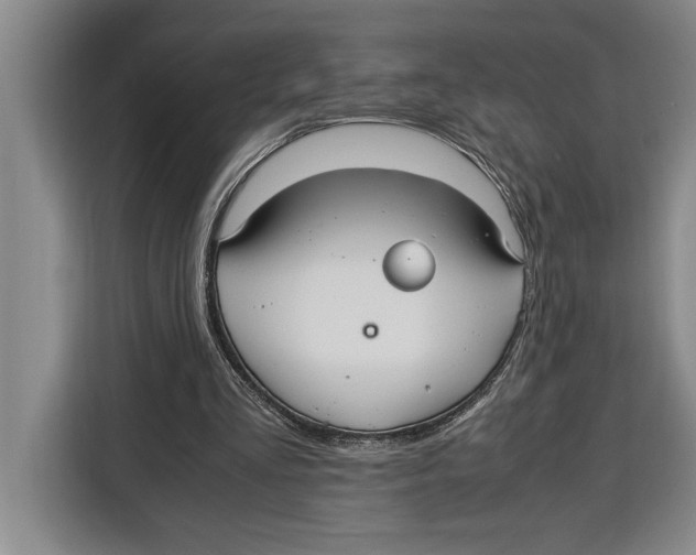 X0000115120293200911241353