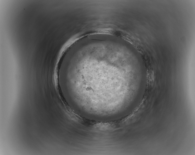 X0000115120294200911241353