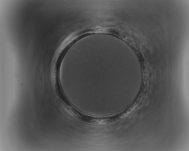 X0000115120295200911241353