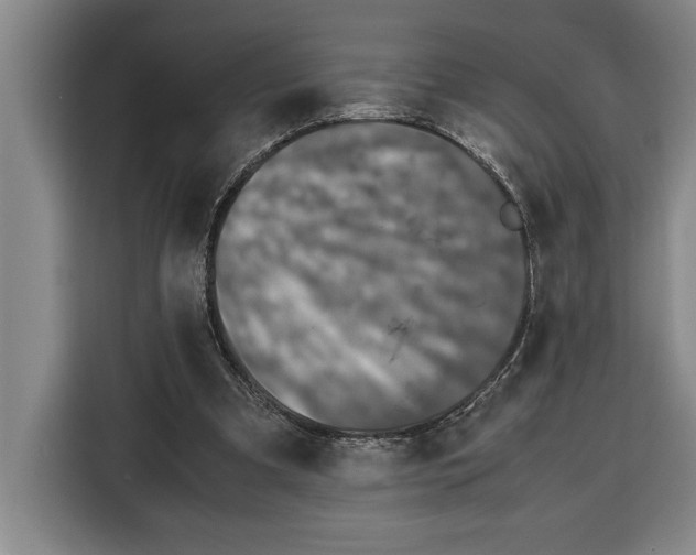 X0000115120297200911241353