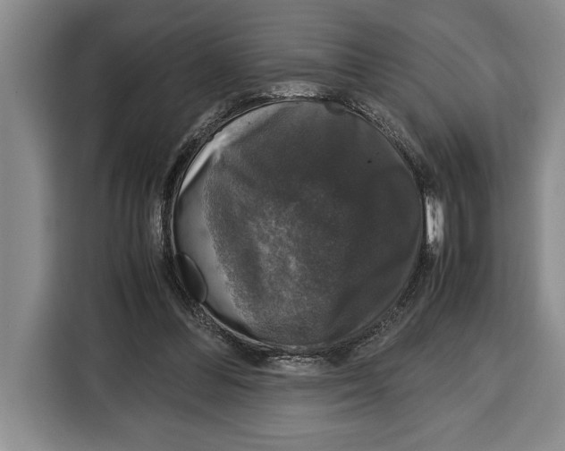 X0000115120300200911241353