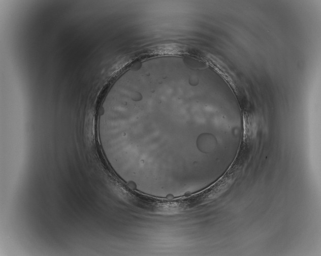 X0000115120301200911241352