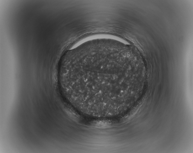 X0000115120303200911241352