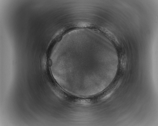 X0000115120304200911241352