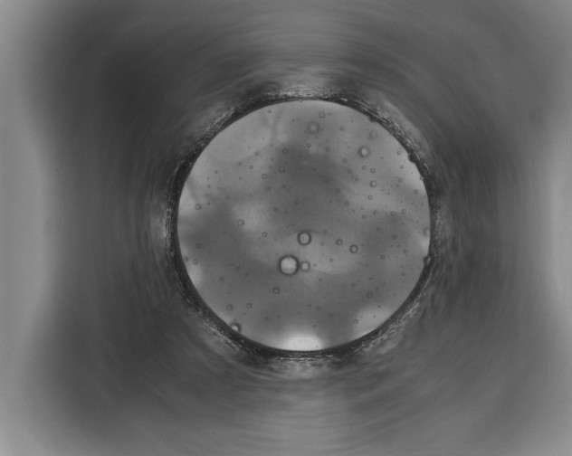 X0000115120305200911241352