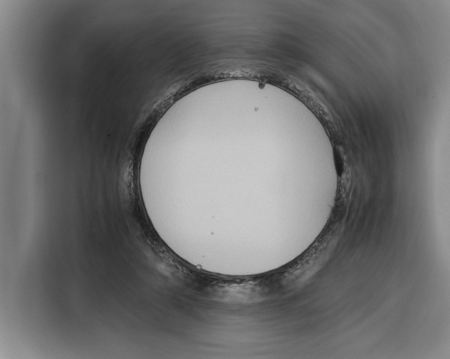 X0000115120306200911241352