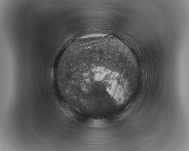 X0000115120308200911241352