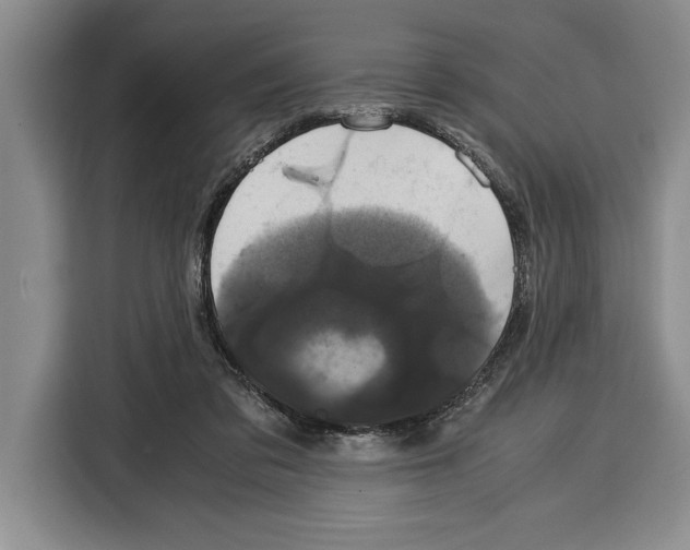 X0000115120309200911241352