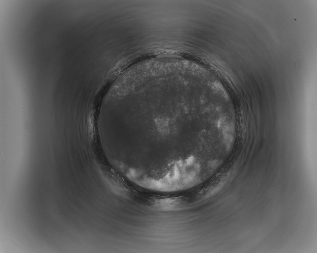 X0000115120312200911241352