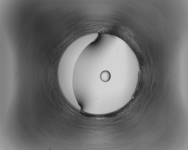 X0000115120313200911241352