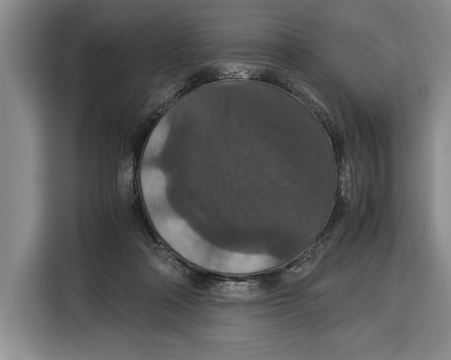 X0000115120314200911241352