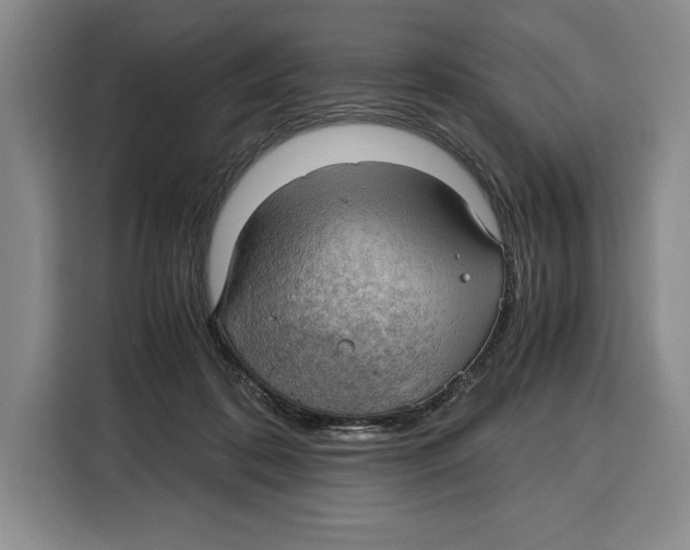 X0000115120316200911241352