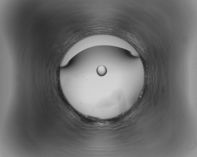 X0000115120317200911241352