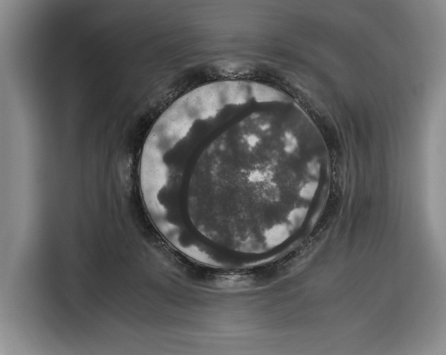 X0000115120319200911241352