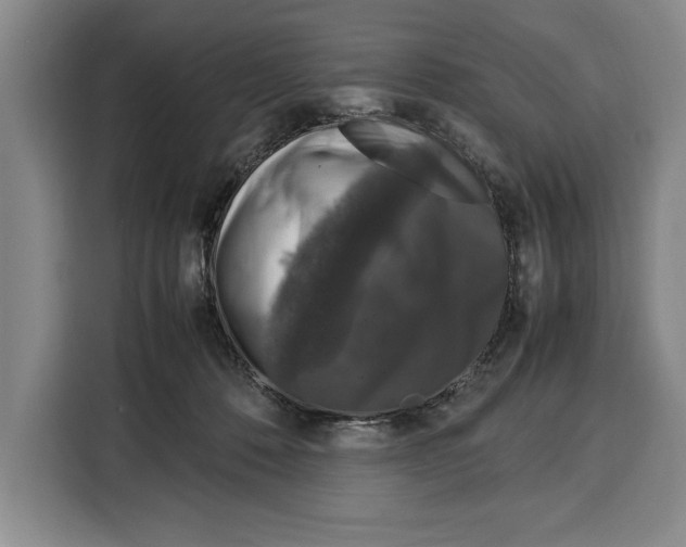 X0000115120320200911241352