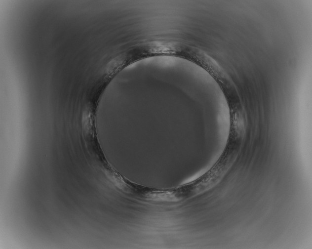 X0000115120322200911241352