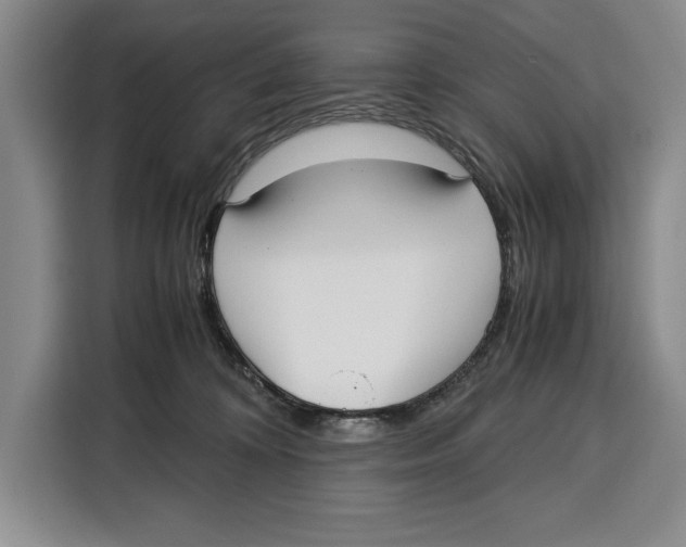 X0000115120324200911241352