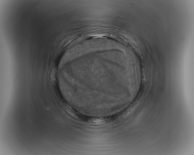 X0000115120325200911241352