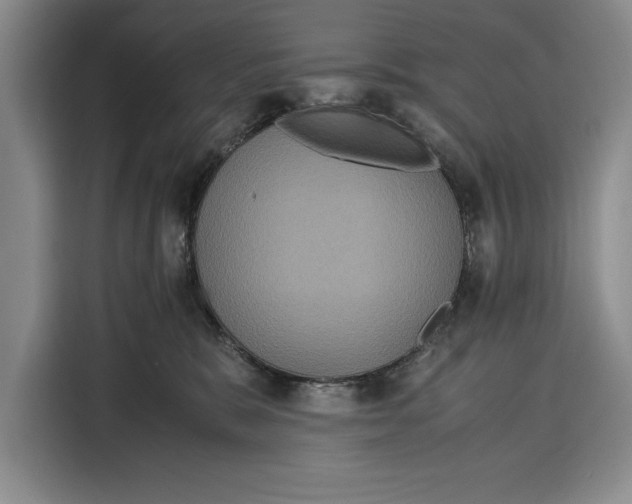 X0000115120327200911241352