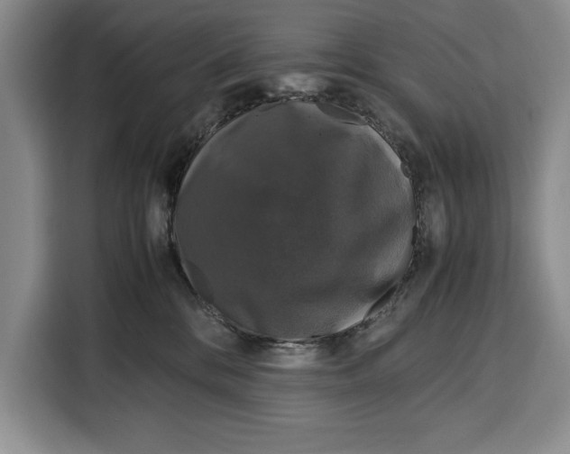 X0000115120328200911241352