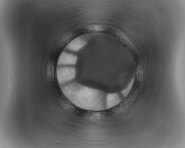 X0000115120330200911241352