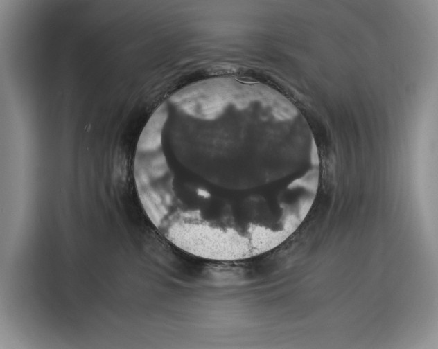 X0000115120331200911241352