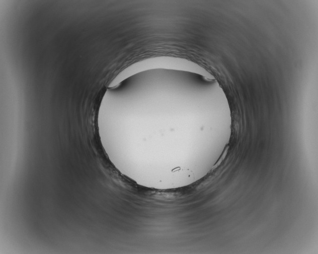 X0000115120332200911241352