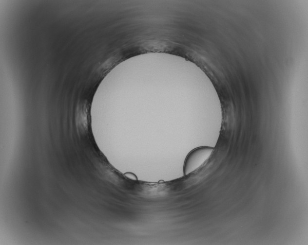 X0000115120334200911241352