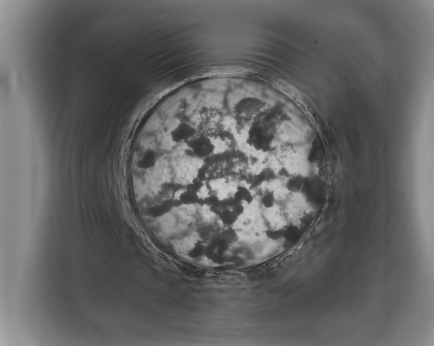 X0000115120337200911241351