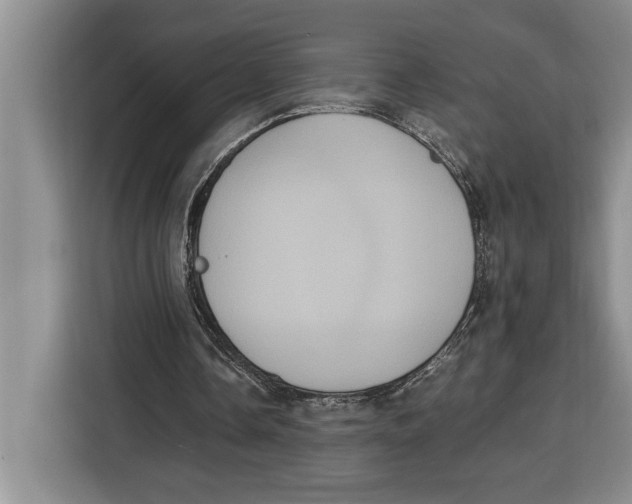 X0000115120338200911241351