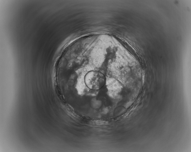 X0000115120339200911241351