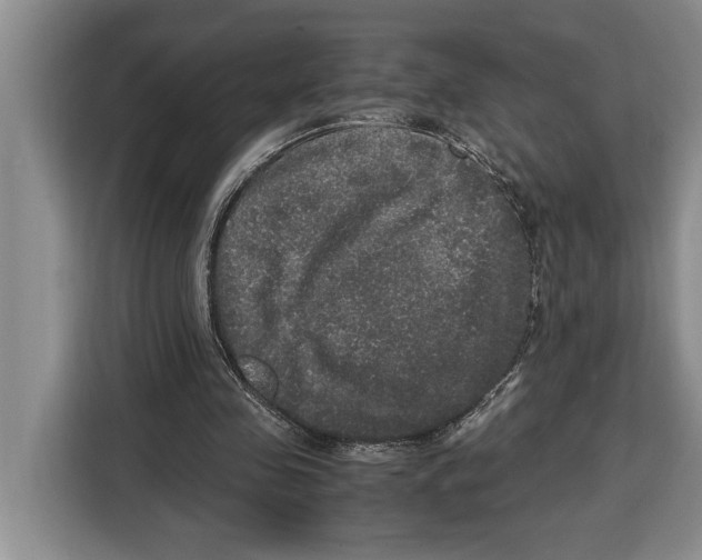 X0000115120341200911241351