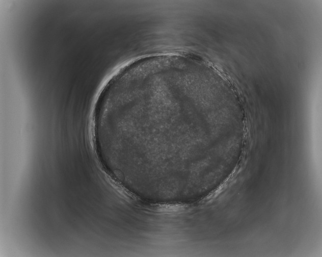 X0000115120342200911241351