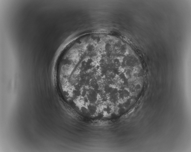 X0000115120343200911241351