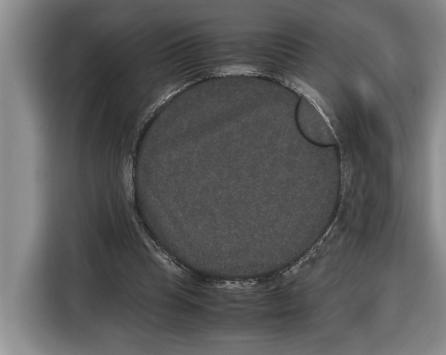 X0000115120345200911241352