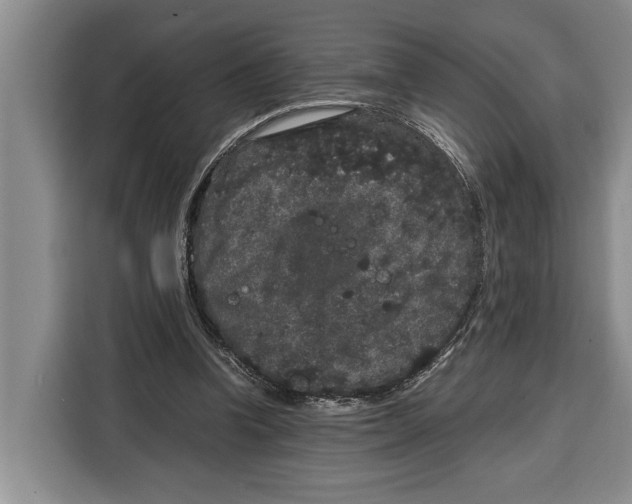 X0000115120346200911241352