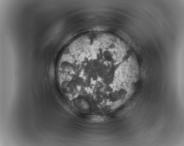 X0000115120347200911241352