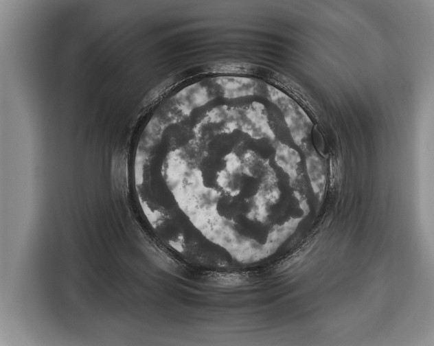 X0000115120349200911241352