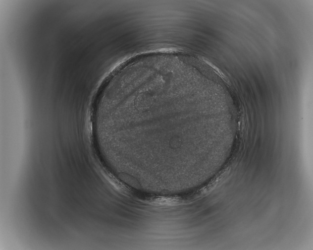 X0000115120350200911241352