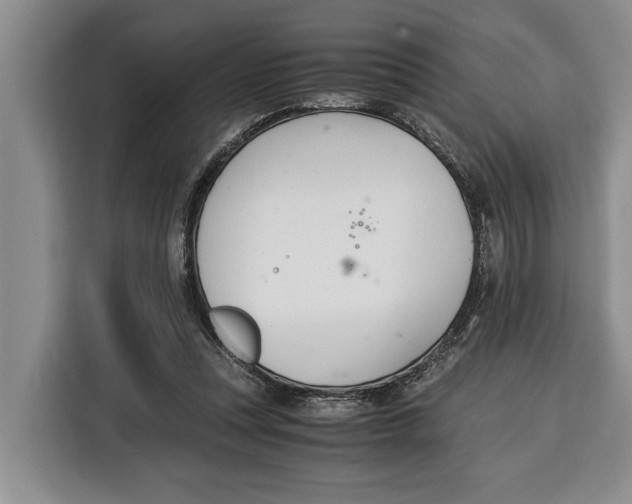 X0000115120351200911241352