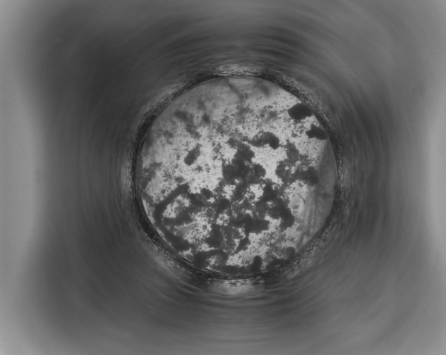 X0000115120353200911241352