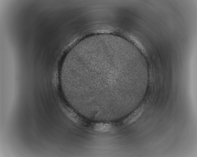 X0000115120354200911241352