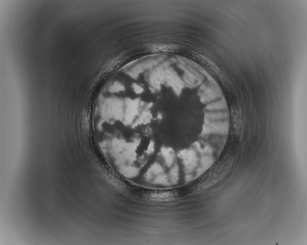 X0000115120357200911241352