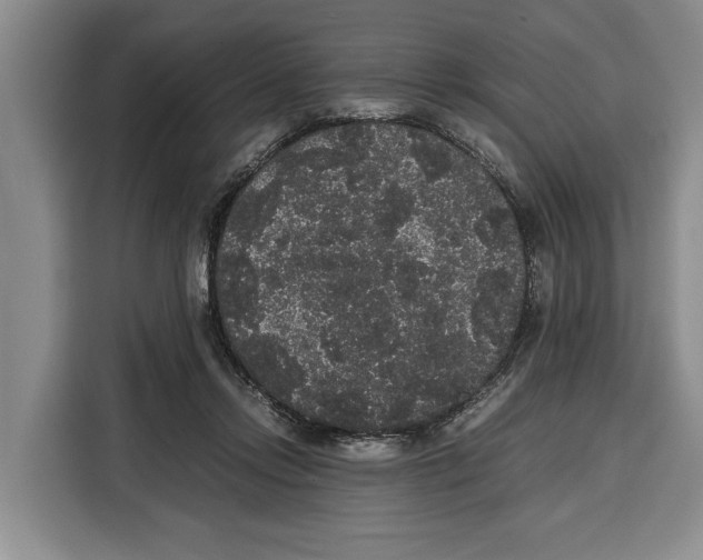 X0000115120358200911241352