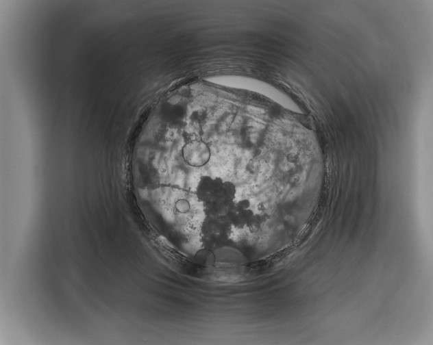 X0000115120359200911241352