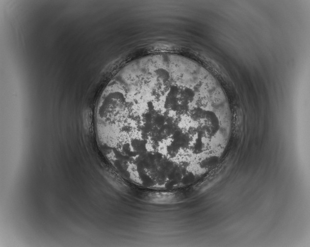 X0000115120361200911241352