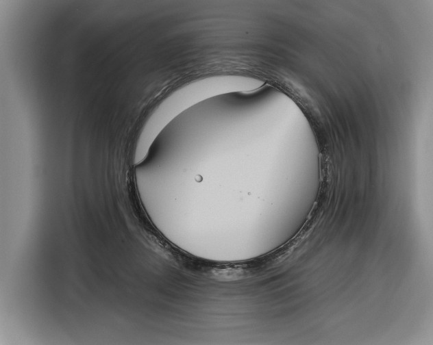 X0000115120362200911241352