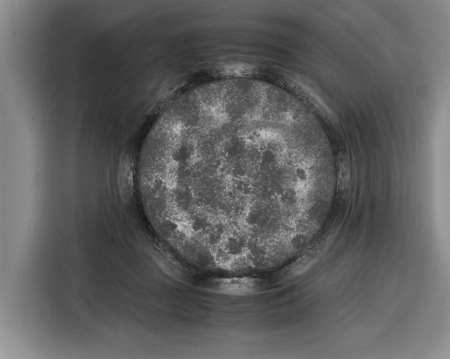 X0000115120363200911241352